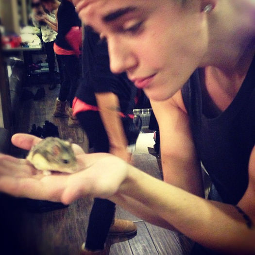 177707b81c8911e2ab4c22000a1faffd_7 - a-Instagram________________Justin