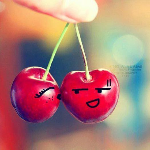 179504_379138595475364_1848078744_n_large