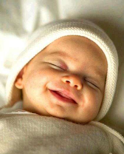 302870_273281179442017_656205595_n