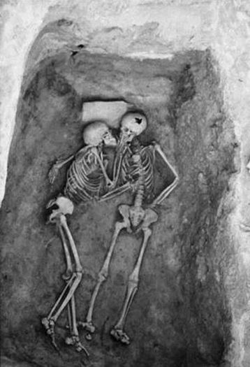 561630_408130575920760_1960521285_n_large