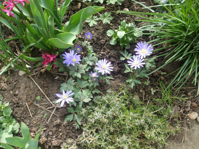DSCF0250
