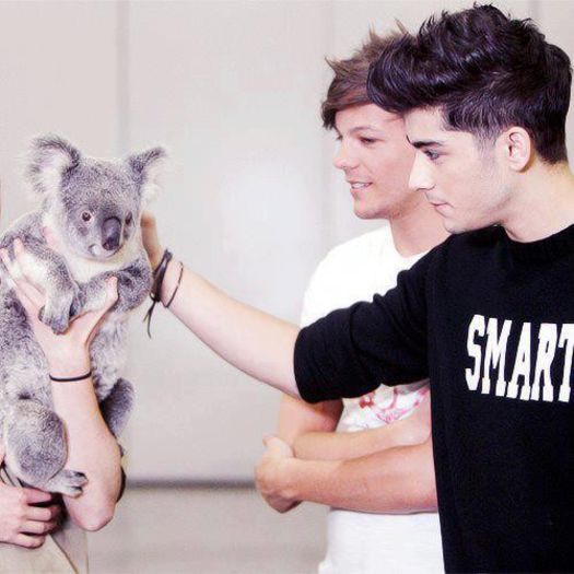 1D - 00 Poze One Direction rare 03