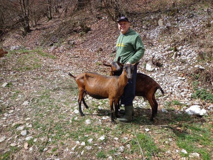 DSC01772 - Alpine Franceze mature