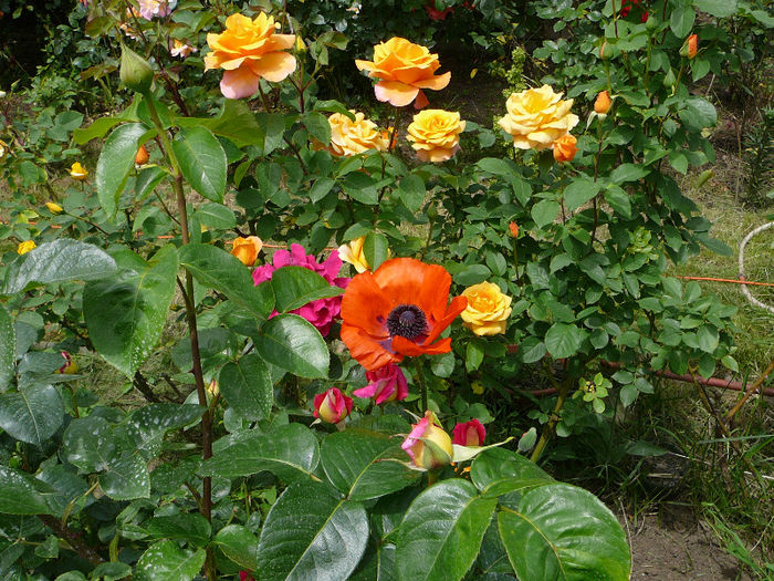 P1110768