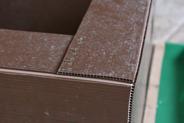 cutie_pui_aprilie_2013_ (7)