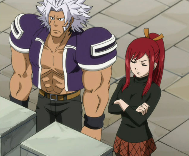 FAIRY TAIL - 161 - Large 19 - Fairy Tail 3