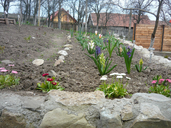 am pus si nasturei pe margini