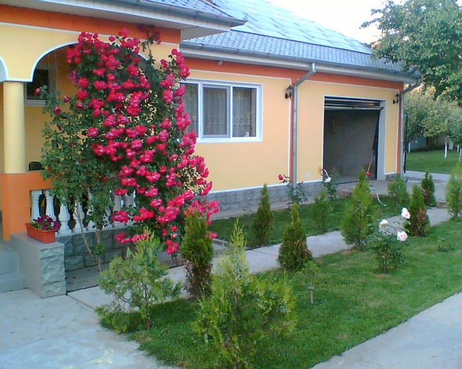 Image007 - Curtea si casa