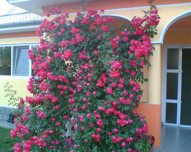 Image015 - Curtea si casa