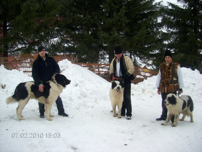 borsa 2010