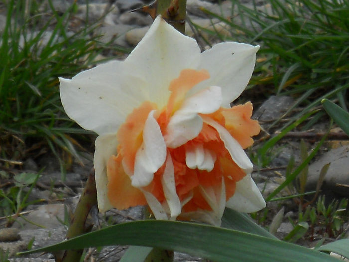 DSCN3802
