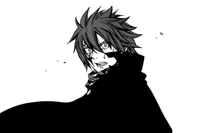 FAIRY TAIL Manga - 290 - Large 01 - Manga
