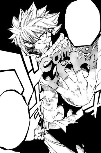 FAIRY TAIL Manga - 295 - Large 03 - Manga