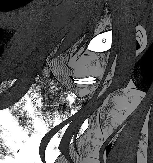 FAIRY TAIL Manga - 316 - Large 02