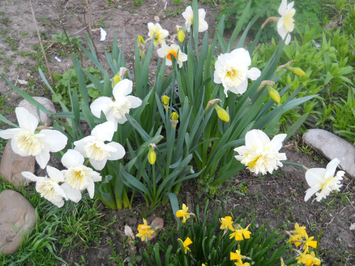 DSCN3952