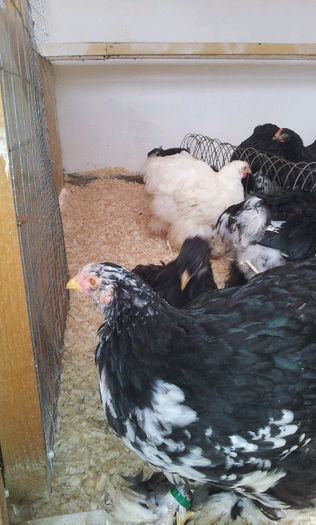 20130413_121639447976709