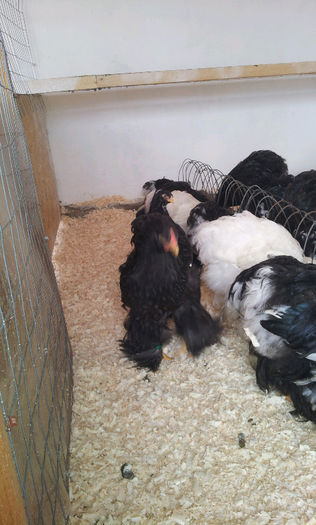 20130413_121618-680656627