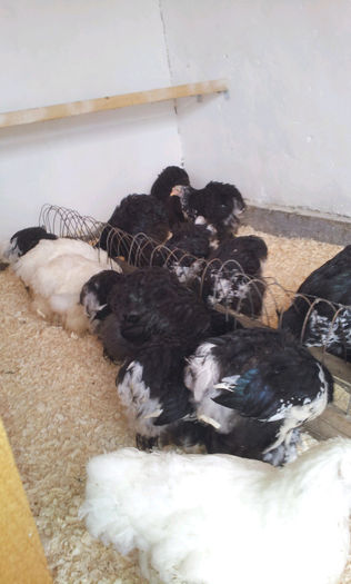 20130413_121418471615707