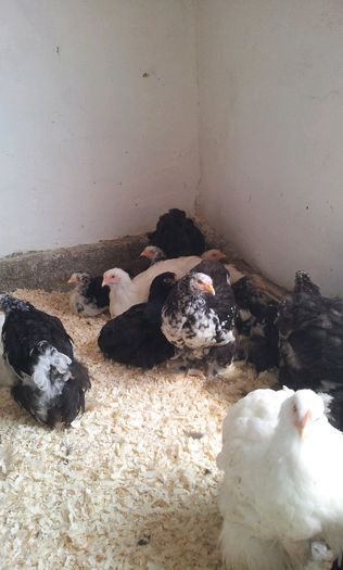 20130413_121338-990737795