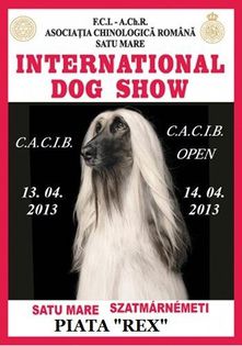  - International Dog Show 2013 Satu Mare