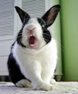 imagesCAHAE262 - avatare