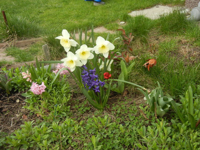 Spring colors (2013, April 09)