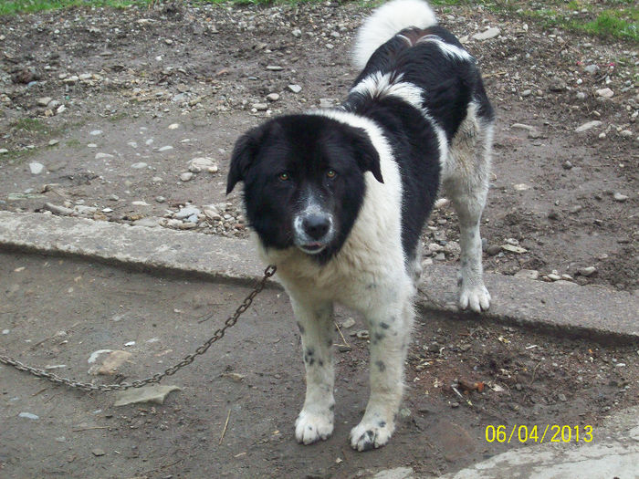 RIP-URSU- 18.02.2015 - diverse