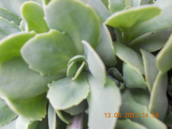DSCN2943 - Oituz 2013