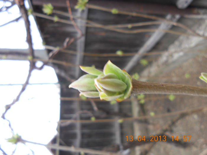 DSCN2946 - Oituz 2013