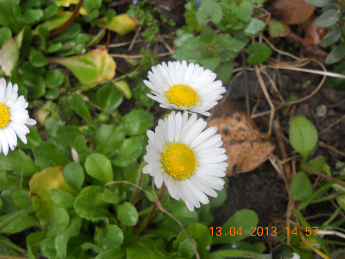 DSCN2948 - Oituz 2013