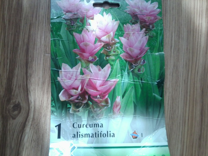 multumesc frumos ileana -esti o dulce - achizitii-00
