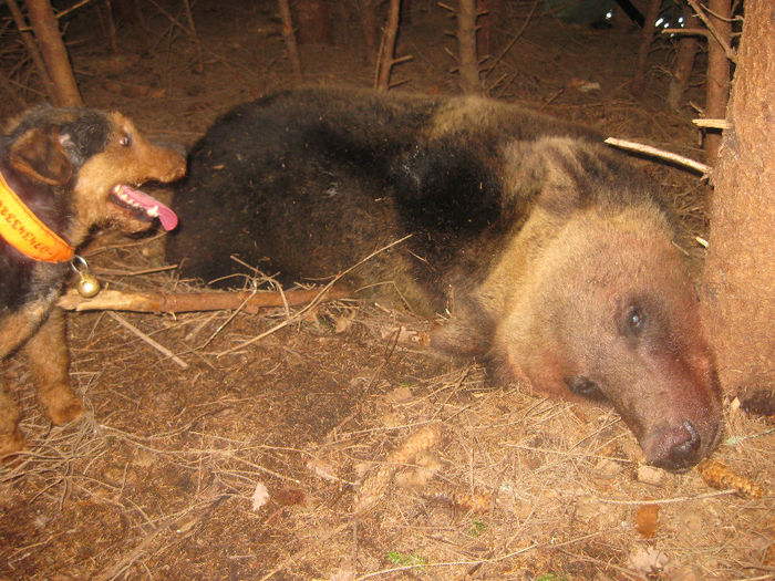 Radar, utankereses - Radar