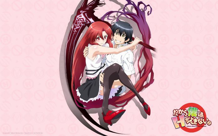 Dakara Boku wa, H ga Dekinai.