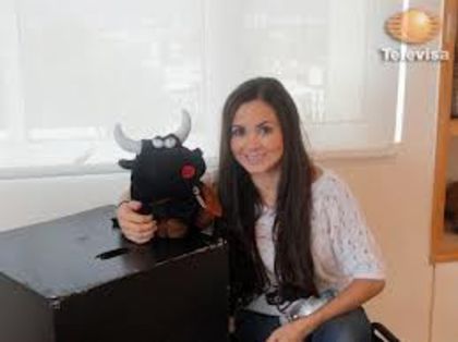 images (8)