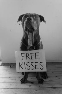  - For you 2