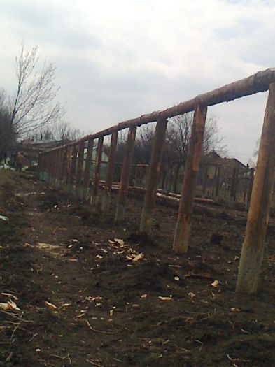 Fotografie0344 - F-solar legume din lemn in constructie