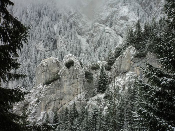 Piatra Craiului - Muntii nostri iarna