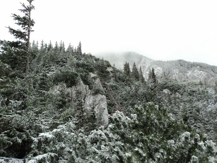 Piatra Craiului - Muntii nostri iarna