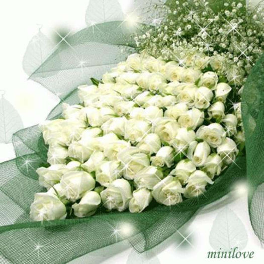  - Trandafiri albi