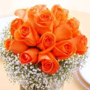 - Trandafiri portocalii
