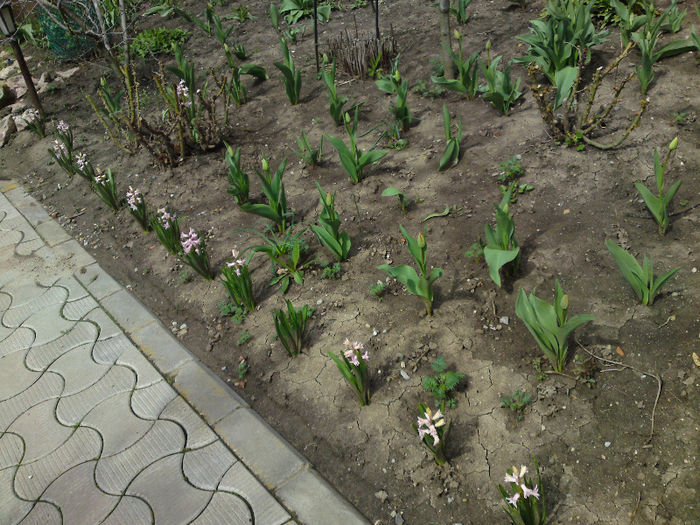 035 - Aprilie 2013