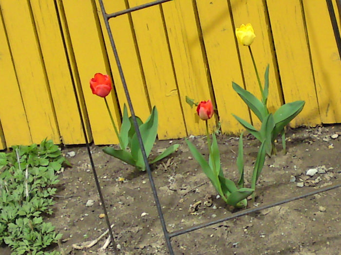 037 - Aprilie 2013