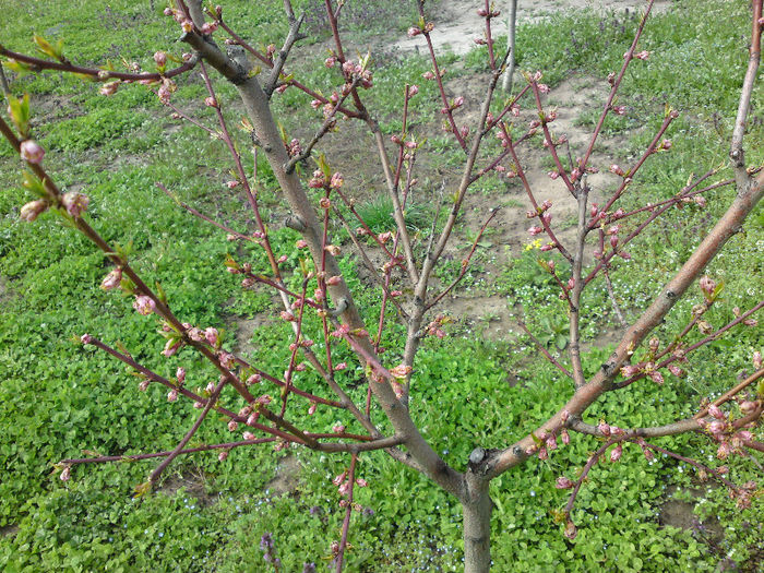 041 - Aprilie 2013