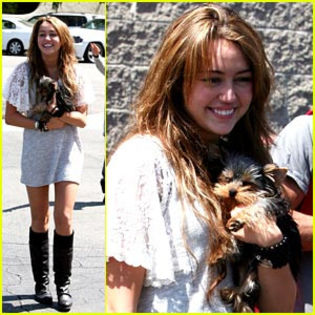 miley-cyrus-patys-puppy - Stilul Miley