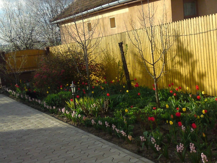 076 - Aprilie 2013