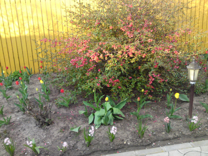 077 - Aprilie 2013