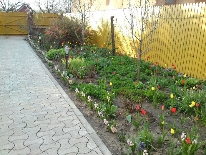 079 - Aprilie 2013