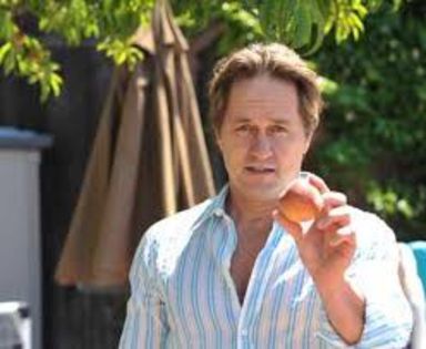 images (54) - Guy Ecker