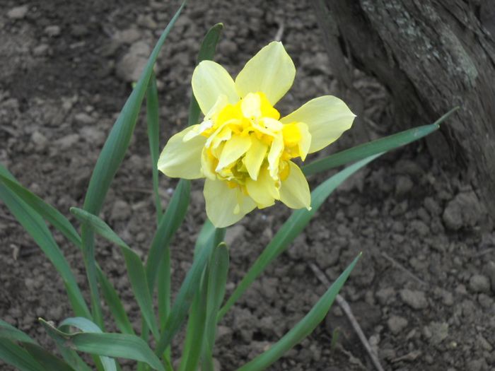 DSCN5166