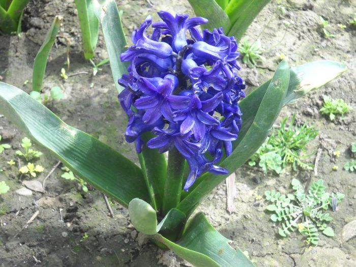 DSCN5205